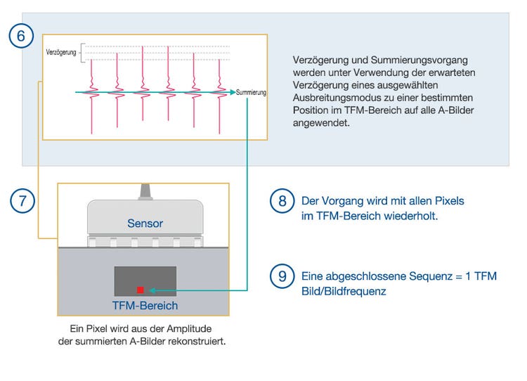 (6) A-Bilder mit Verzögerung und Summierungsvorgang. (7) TFM-Rekonstruktion.