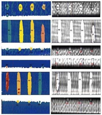 Figure 3: C-scan data is recored for each zone