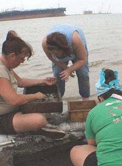 Archeaologists ID'ing human remains.