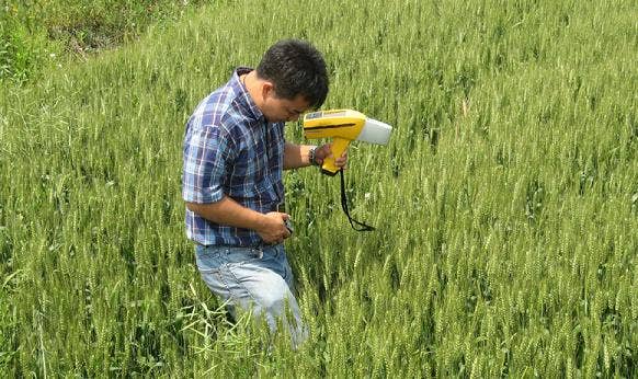 Data collection, peri-urban farm, Nanjing, China