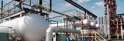 plant maintenance using videoscopes