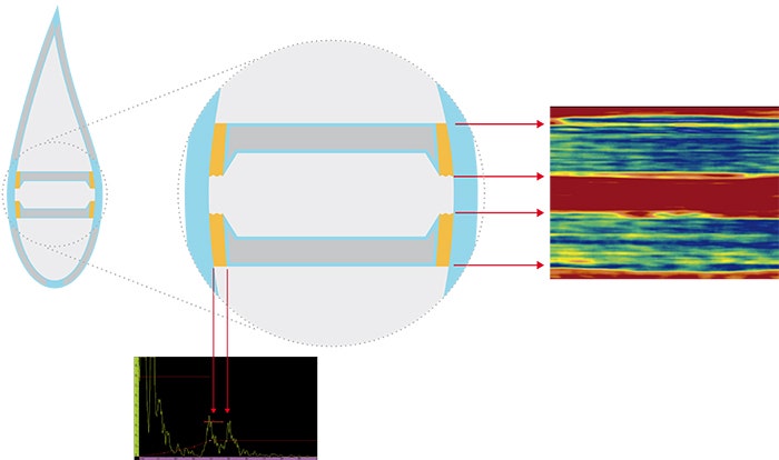 In this example, the A-scan can be used to measure the adhesive's thickness.