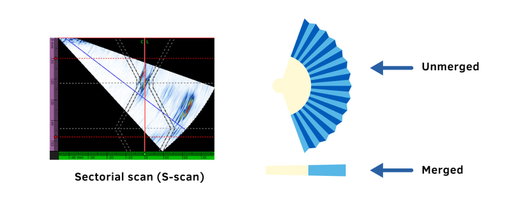 Illustration to explain how the merged B-scan works