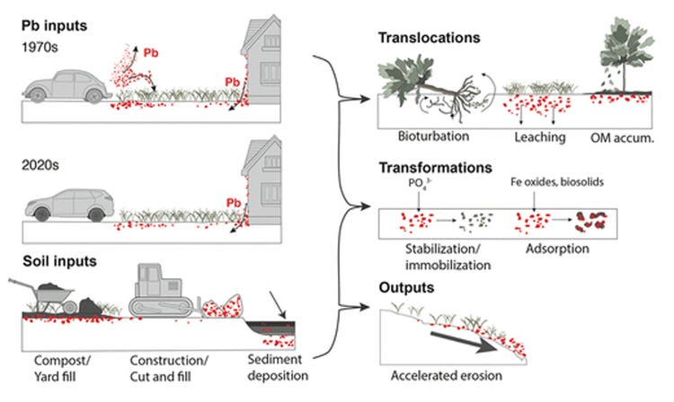 Urban soil processes that redistribute lead over time