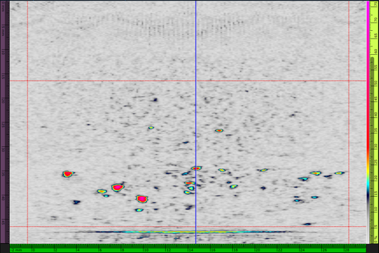 A screenshot of a computer Description automatically generated