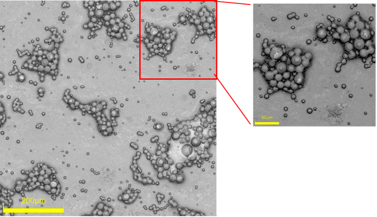 Convex aggregates on a yogurt lid with high water repellency