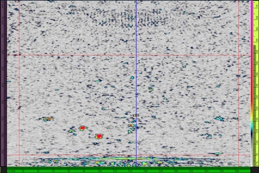 A screen shot of a computer Description automatically generated