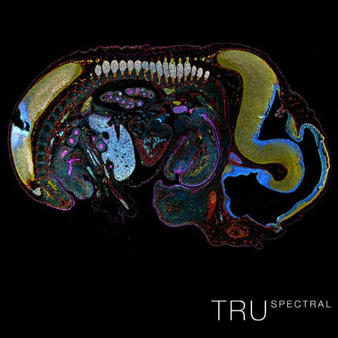 TruSpectral