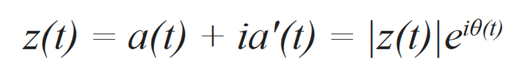 Empirical A-scan on a complete TFM frame, a complex analytical signal z(t).