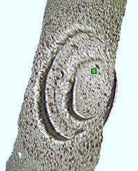 Instant Confirmation of Measurement Object