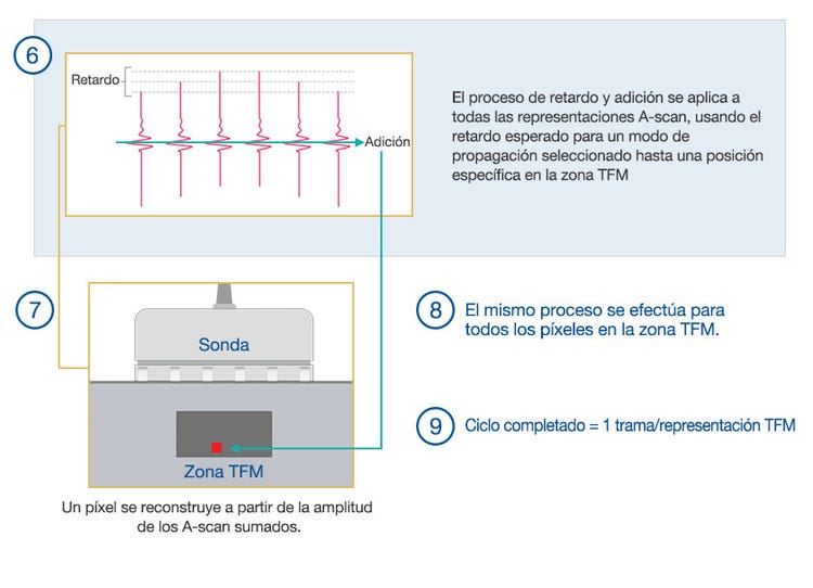 (6) Los A-scan están sujetos a un procesamiento de retardo y adición. (7) Reconstrucción TFM.