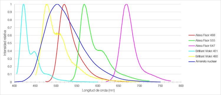 Figura 1: Espectro de emisión de los seis fluorocromos usados para etiquetar las secciones de la córtex prefrontal medial del ratón.