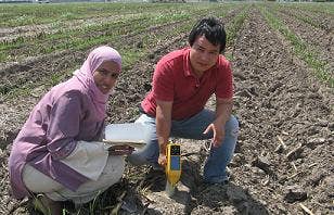 Agricultores usando el analizador XRF portátil DELTA para ensayos de suelos.