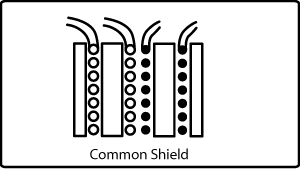 common sheild