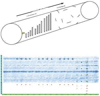 PA and ECA Acquisition Units