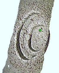 Instant Confirmation of Measurement Object