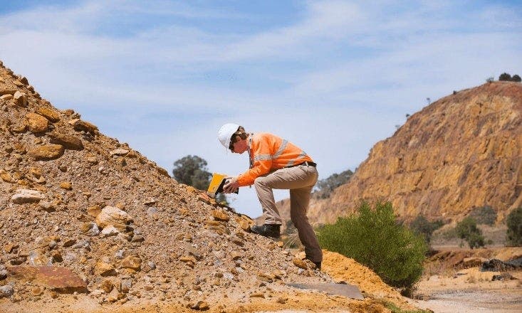 Picture 1648129961, Picture