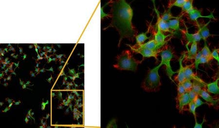 Comparaison de la résolution d’image d’objectifs classiques : ON de 0,75