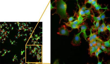 Comparaison de la résolution d’image d’objectifs classiques : ON de 0,8