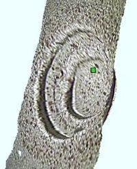 Instant Confirmation of Measurement Object