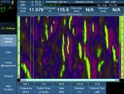 Magnetic particle (fluorescent)