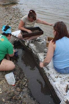 Graduate students from the Department of Anthropology and Sociology recover, sort and inventory the remains off of Greenwood Island near Pasacgoula, Mississippi.