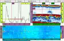 Sonda phased array flessibile per l'ispezione di forma complesse