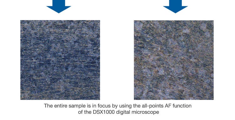 The entire sample is in focus by using the all-points AF function of the DSX1000 digital microscope