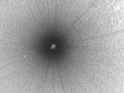 Inside of a metal hose