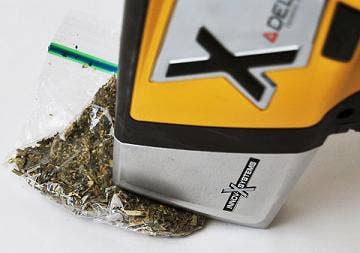 Analisi di un sacchetto di marijuana con l'analizzatore XRF portatile Delta