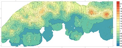 Immagine dei grani nell'acciaio con un ingrandimento di 100×