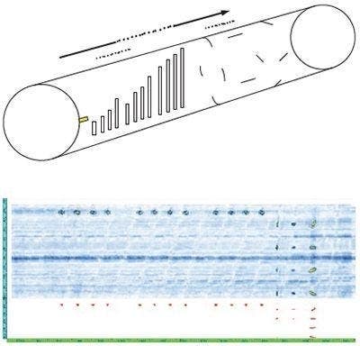 PA and ECA Acquisition Units