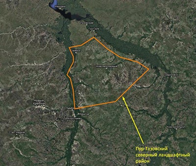 ロシアのPur-Tazovsky地域の調査エリア