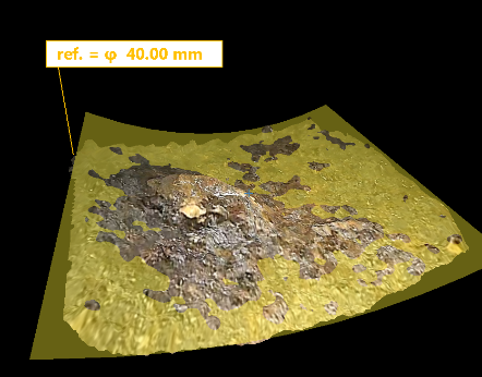 錆びこぶの3D画像