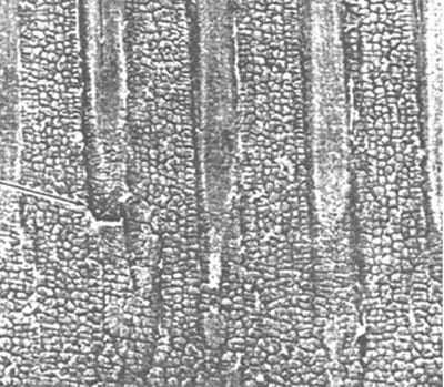 Barrel Wear and Erosion