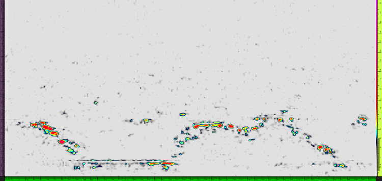 A white background with black spots Description automatically generated