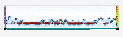 탄소강 파이프 부식의 B-스캔 이미지.