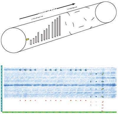 PA and ECA Acquisition Units