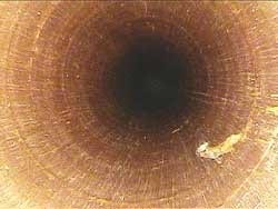 Inside of a high pressure hose