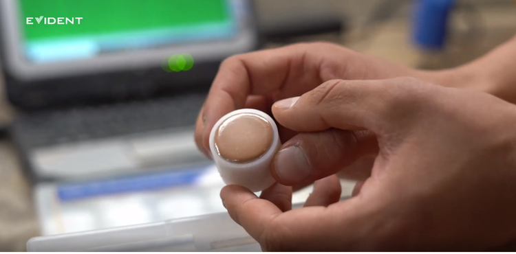 圆盘中已均质化、用于进行X射线荧光测试的钻探岩芯样品